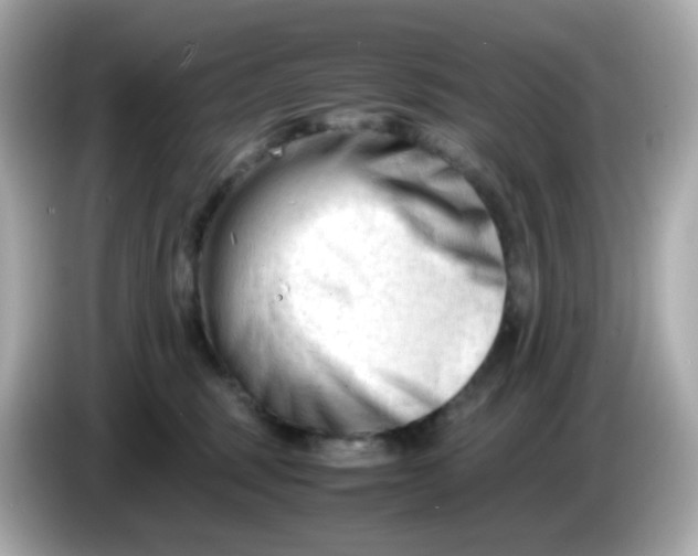 X0000086060375200704091232