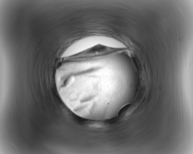 X0000086060377200704091232