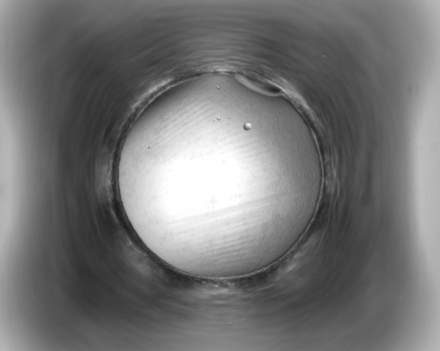 X0000086060386200704091232