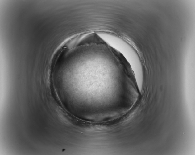 X0000086060387200704091232