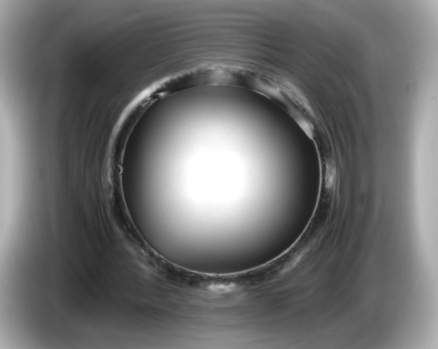 X0000086060388200704091232