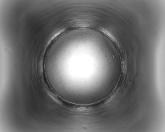 X0000086060390200704091232