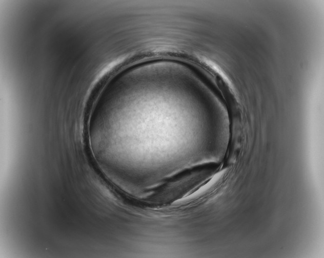 X0000086060391200704091232