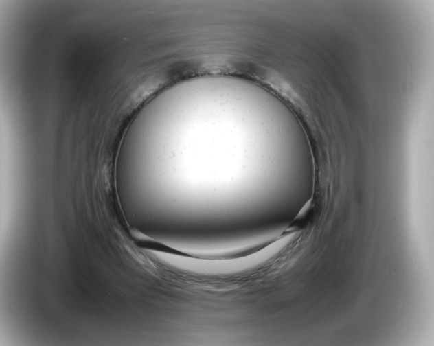 X0000086060393200704091232