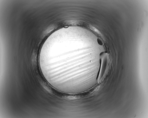 X0000086060394200704091232