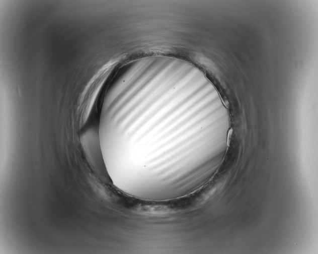 X0000086060395200704091232