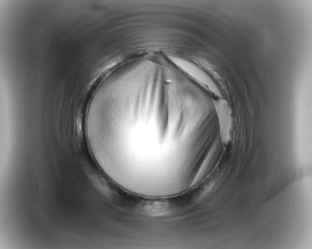 X0000086060398200704091232