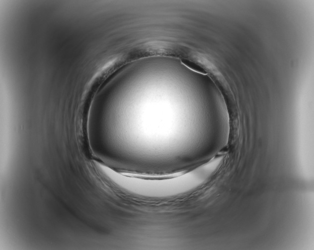 X0000086060399200704091232