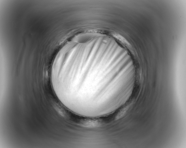 X0000086060405200704091232