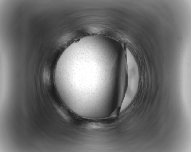 X0000086060408200704091232