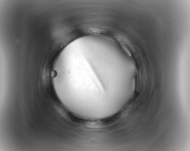 X0000086060410200704091232