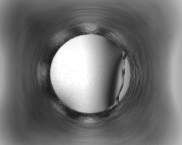 X0000086060412200704091232