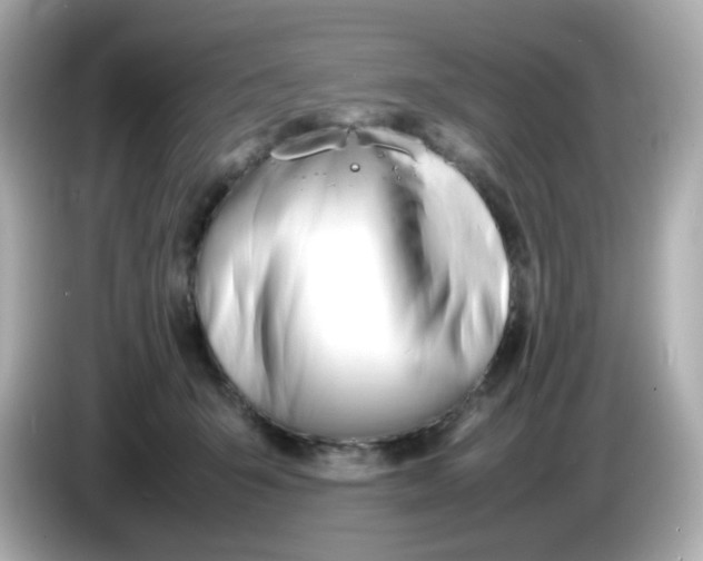 X0000086060415200704091232