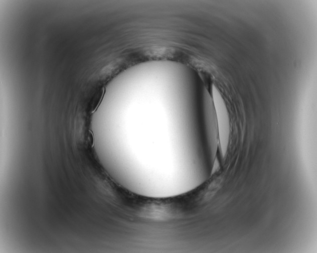 X0000086060416200704091232