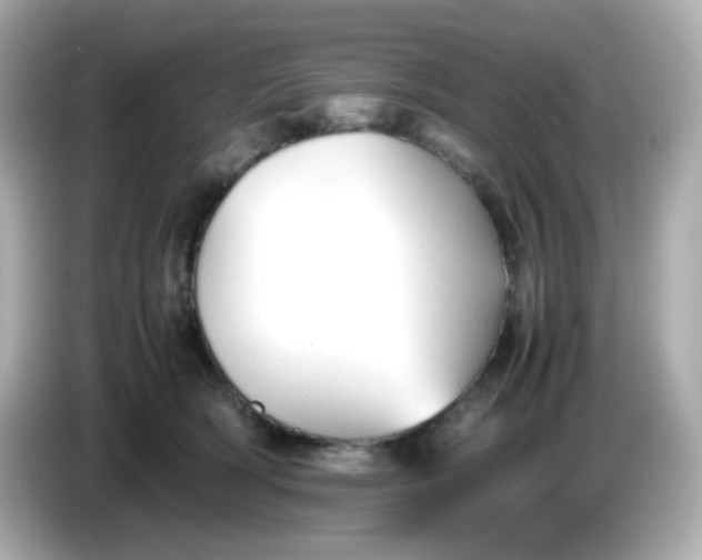 X0000086060418200704091231