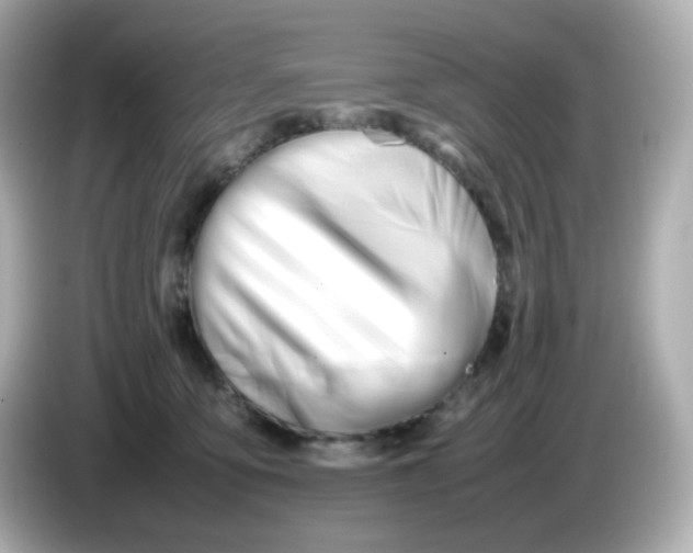 X0000086060419200704091231