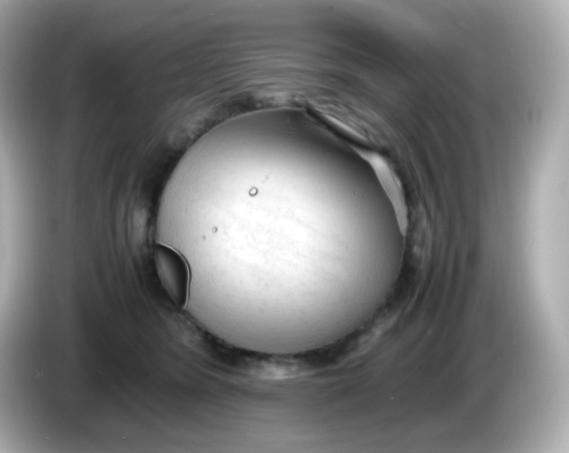 X0000086060420200704091231