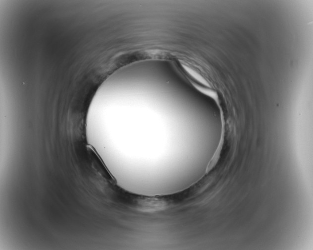 X0000086060421200704091231