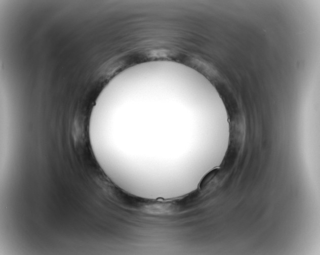 X0000086060422200704091231