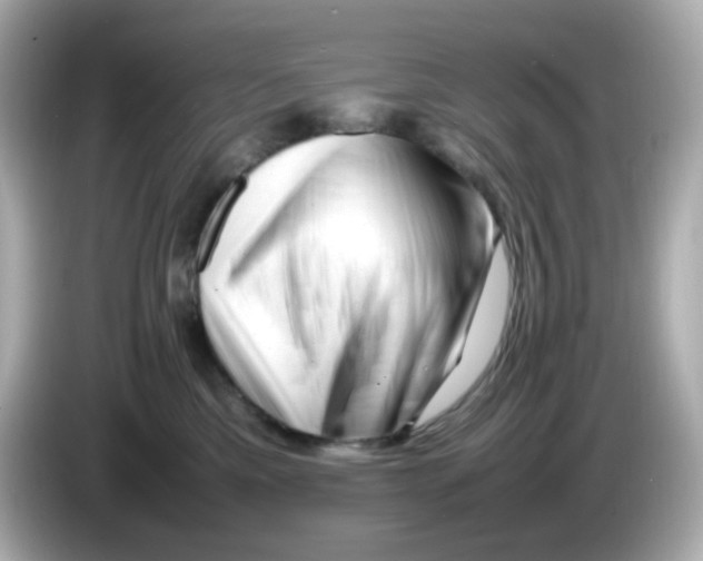 X0000086060425200704091231