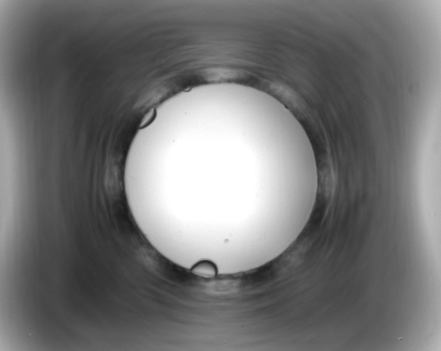 X0000086060426200704091231