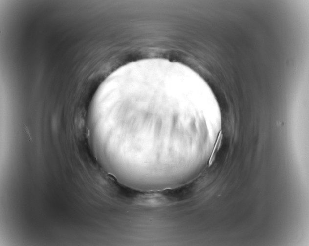 X0000086060427200704091231