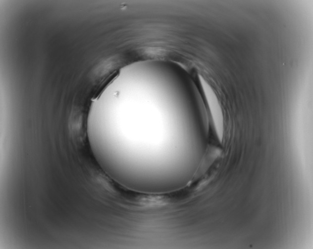 X0000086060428200704091231