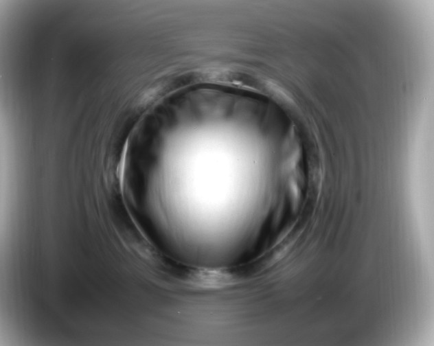 X0000086060429200704091231