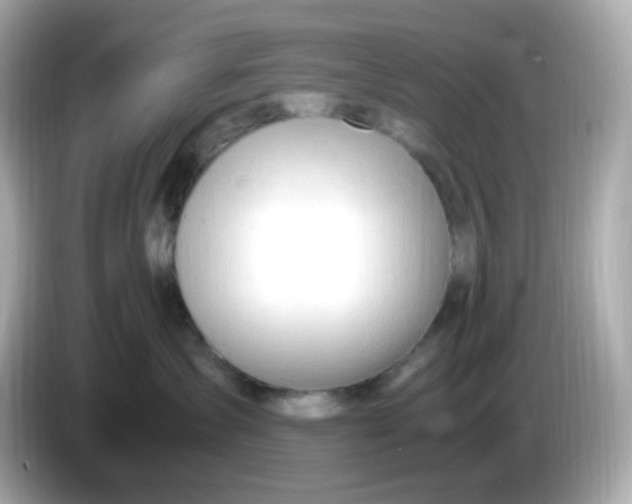 X0000086060431200704091231