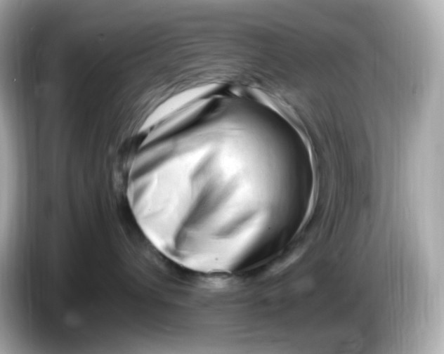 X0000086060432200704091231