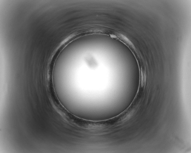 X0000086060435200704091231