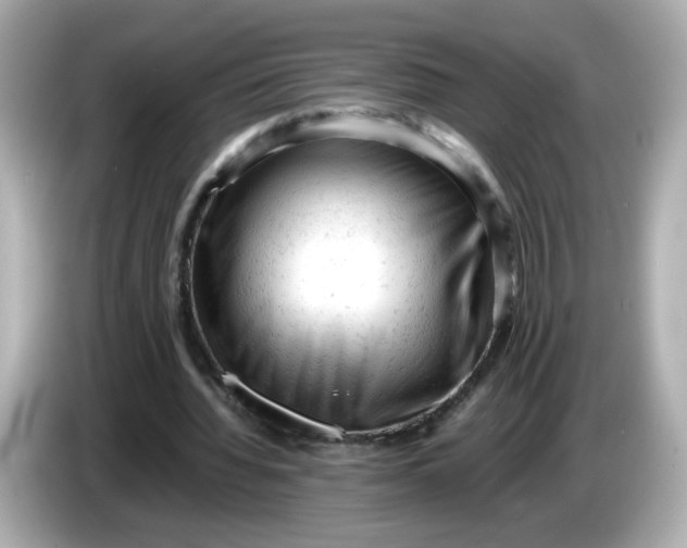 X0000086060436200704091231