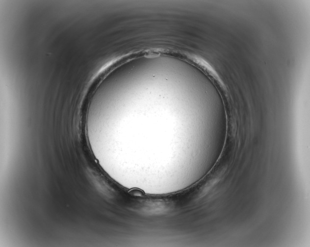 X0000086060439200704091231