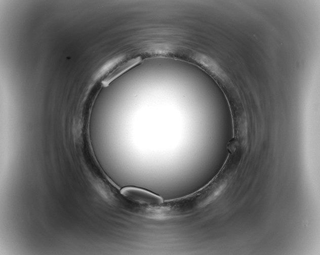 X0000086060440200704091231