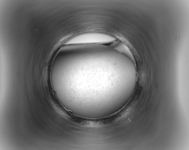 X0000086060442200704091231