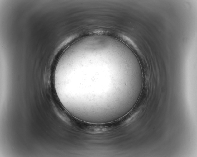 X0000086060443200704091231