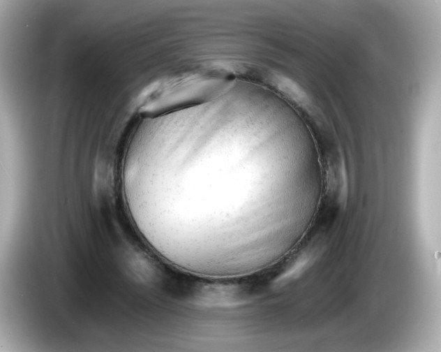 X0000086060444200704091231