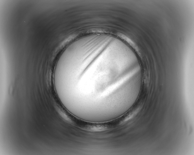 X0000086060445200704091231