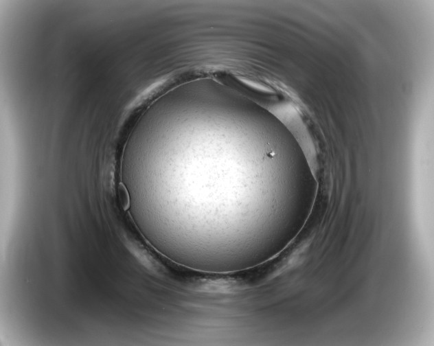 X0000086060446200704091231