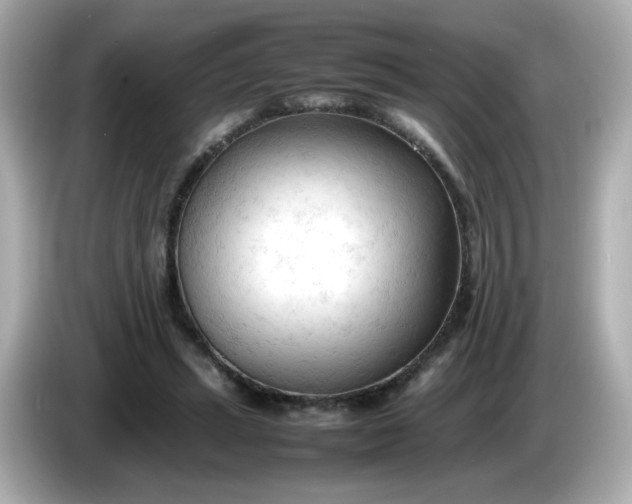 X0000086060447200704091231