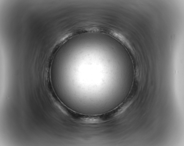 X0000086060449200704091231