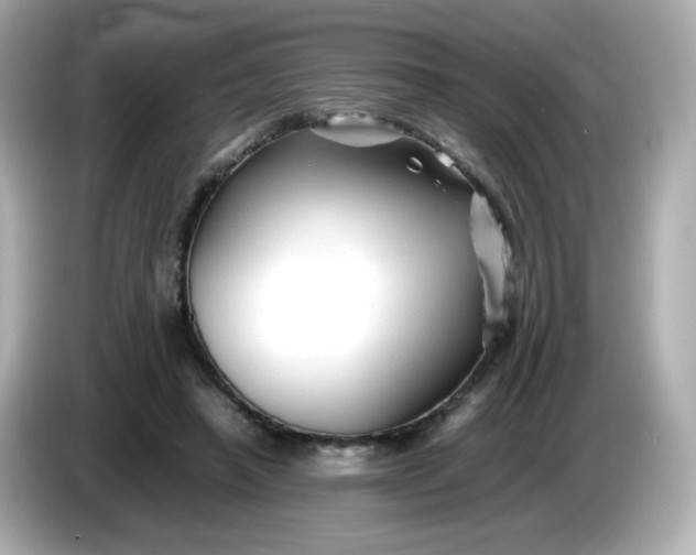 X0000086060450200704091231