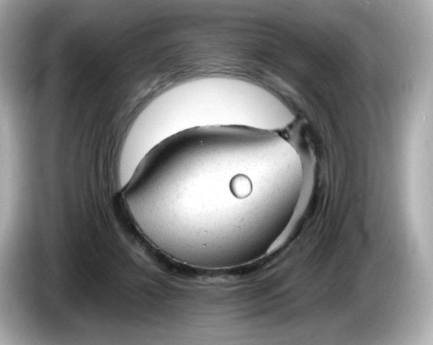 X0000086060452200704091231