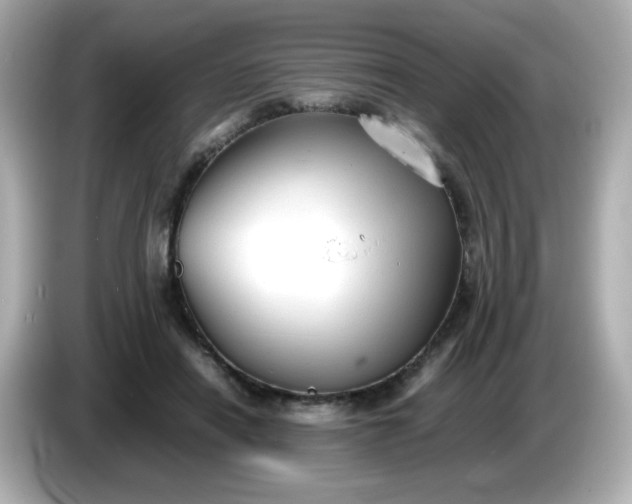 X0000086060454200704091231