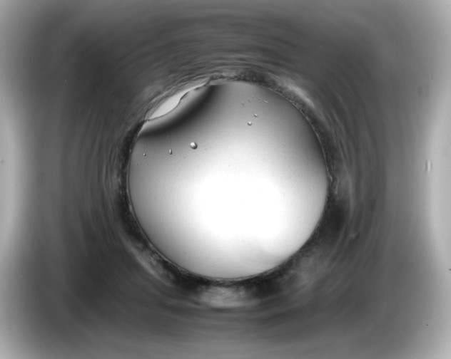 X0000086060455200704091231