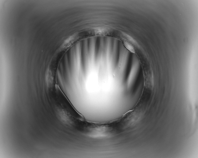 X0000086060456200704091231