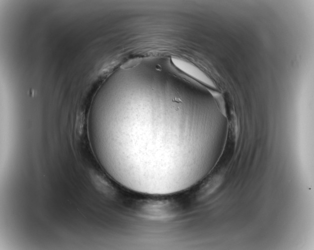 X0000086060458200704091231