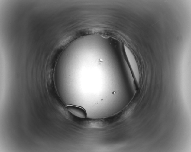 X0000086060462200704091231