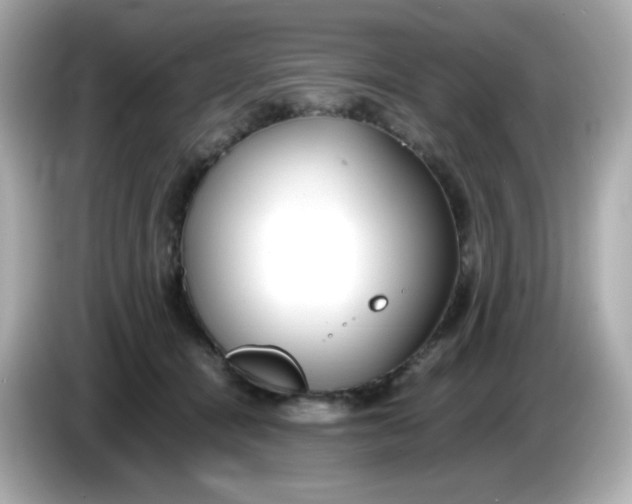 X0000086060464200704091231