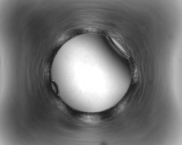 X0000086060466200704091231